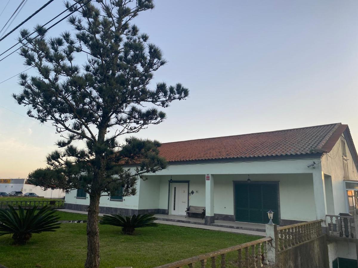 Green Tropical House Ponta Delgada Zewnętrze zdjęcie