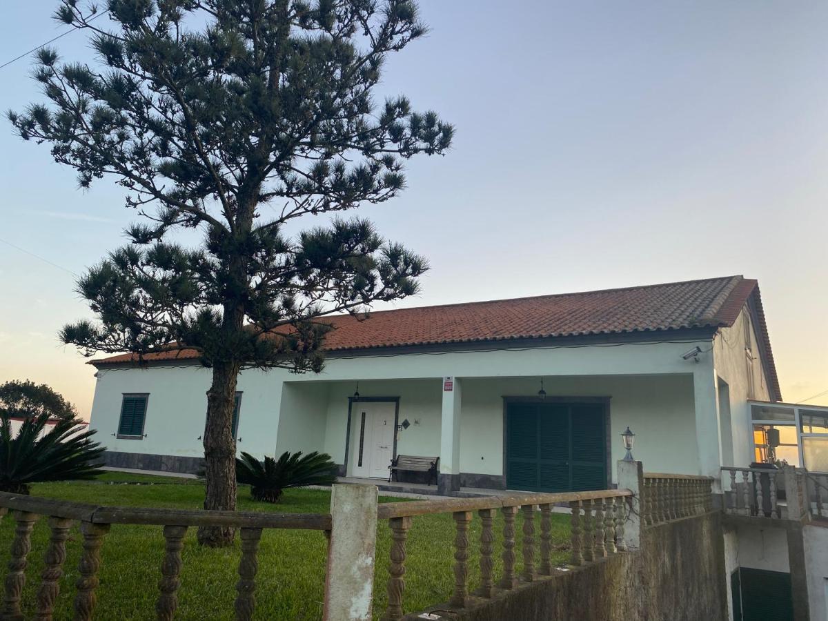 Green Tropical House Ponta Delgada Zewnętrze zdjęcie